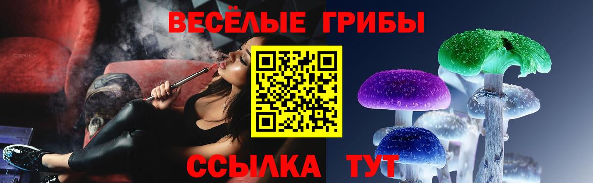 Псилоцибиновые грибы GOLDEN TEACHER  Псилоцибиновые грибы GOLDEN TEACHER  Чернушка  Вход с VPN 